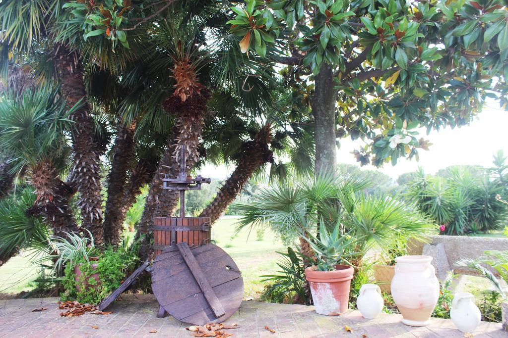 Guest House Villa Di Judighes Cerveteri Exteriér fotografie